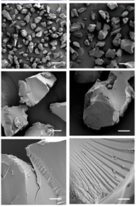 Microscope images and SEM characterization of polymer granules. Scale bars: 250 μm (first line); 200 μm (second line); 50 μm (third line); 10 μm (fourth line)